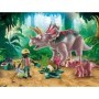 Familia Triceratops